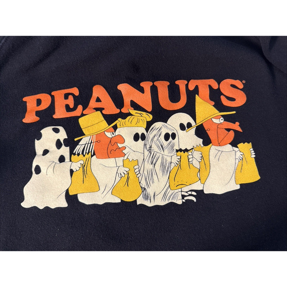 Super7 x Peanuts Hoodie “I Got a Rock” Halloween Charlie Brown Sweatshirt - Picture 1 of 8
